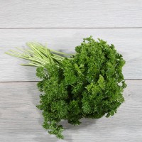 Frische Petersilie kraus 40g Bund Frische Petersilie kraus 40g Bund
