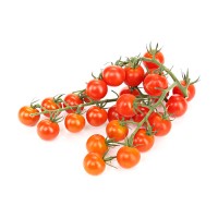 Frische Cherry-Rispentomaten 500g Frische Cherry-Rispentomaten 500g