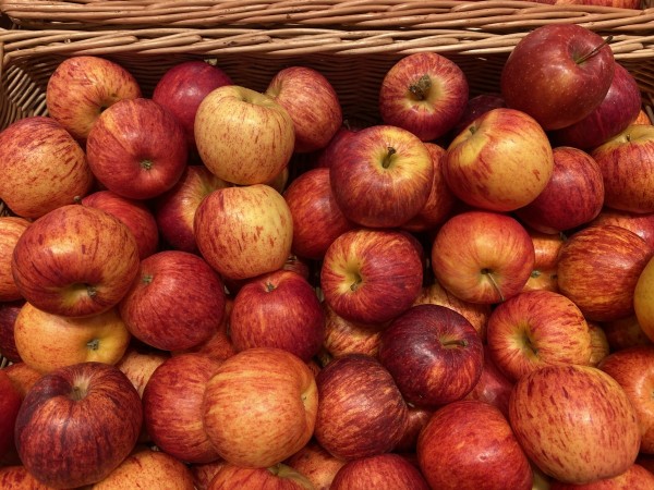 Frische Äpfel GALA, Neu-Seeland, 1kg