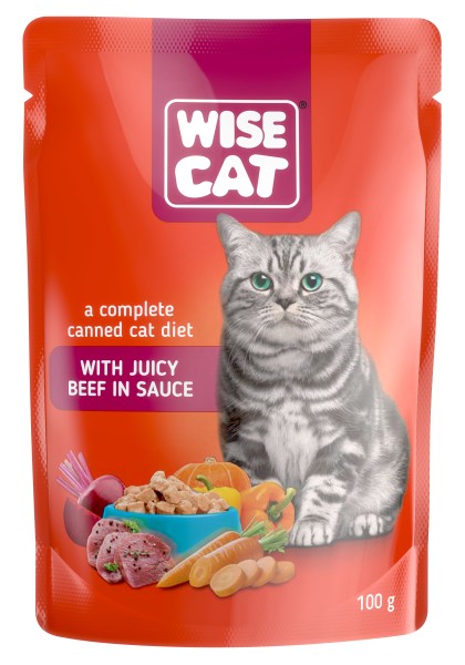 Katzenfutter Nass mit Rind in Sauce für Kitten, 100g
