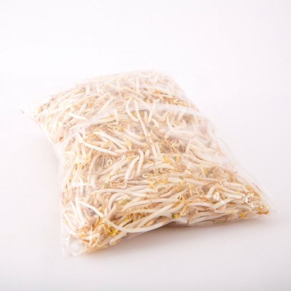 Soja Sprossen, 200g