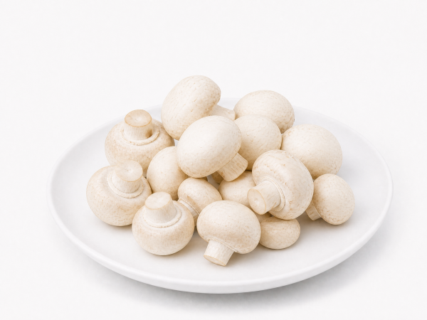Frische Champignon weiß 400g Schale