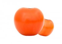 Frische Tomate rund 1 Stück Frische Tomate rund 1 Stück