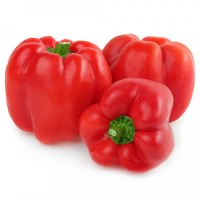 Frische Paprika Rot 3 Stück Packung