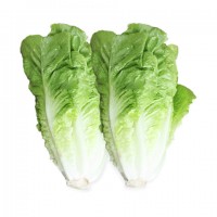 Frische Salatherzen 2 Stück Frische Salatherzen 2 Stück