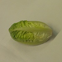 Frische Salatherzen 2 Stück