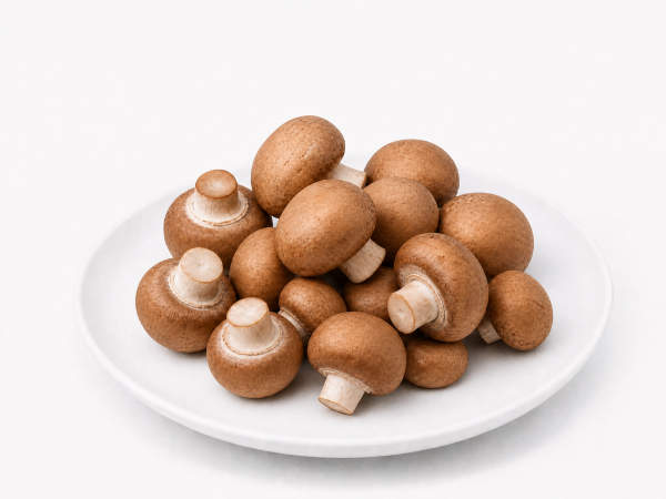 Frische Champignon braun 400g Schale